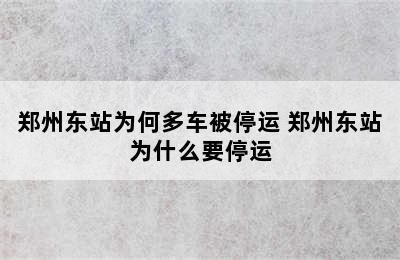 郑州东站为何多车被停运 郑州东站为什么要停运